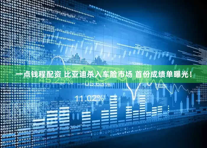 一点钱程配资 比亚迪杀入车险市场 首份成绩单曝光！