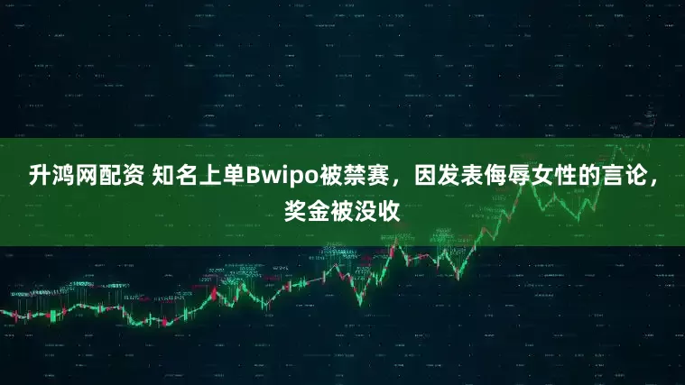 升鸿网配资 知名上单Bwipo被禁赛，因发表侮辱女性的言论，奖金被没收