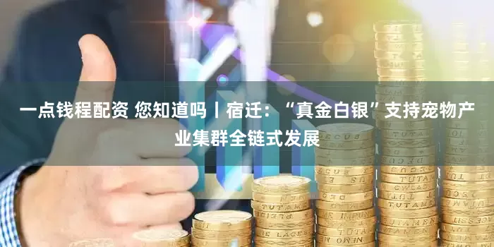 一点钱程配资 您知道吗丨宿迁：“真金白银”支持宠物产业集群全链式发展