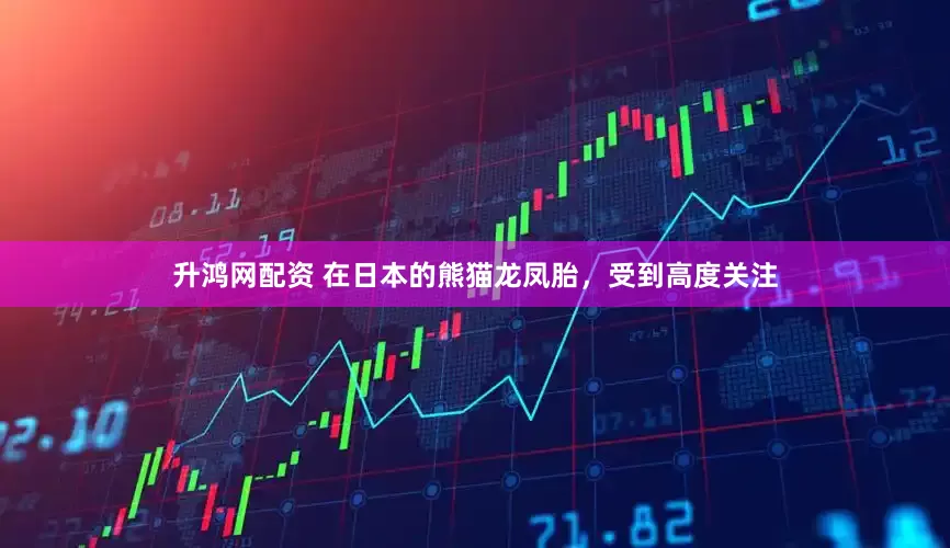 升鸿网配资 在日本的熊猫龙凤胎，受到高度关注