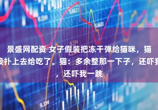 景盛网配资 女子假装把冻干弹给猫咪，猫咪直接扑上去给吃了。猫：多余整那一下子，还吓我一跳